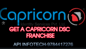 capricorn dsc franchse api infotech